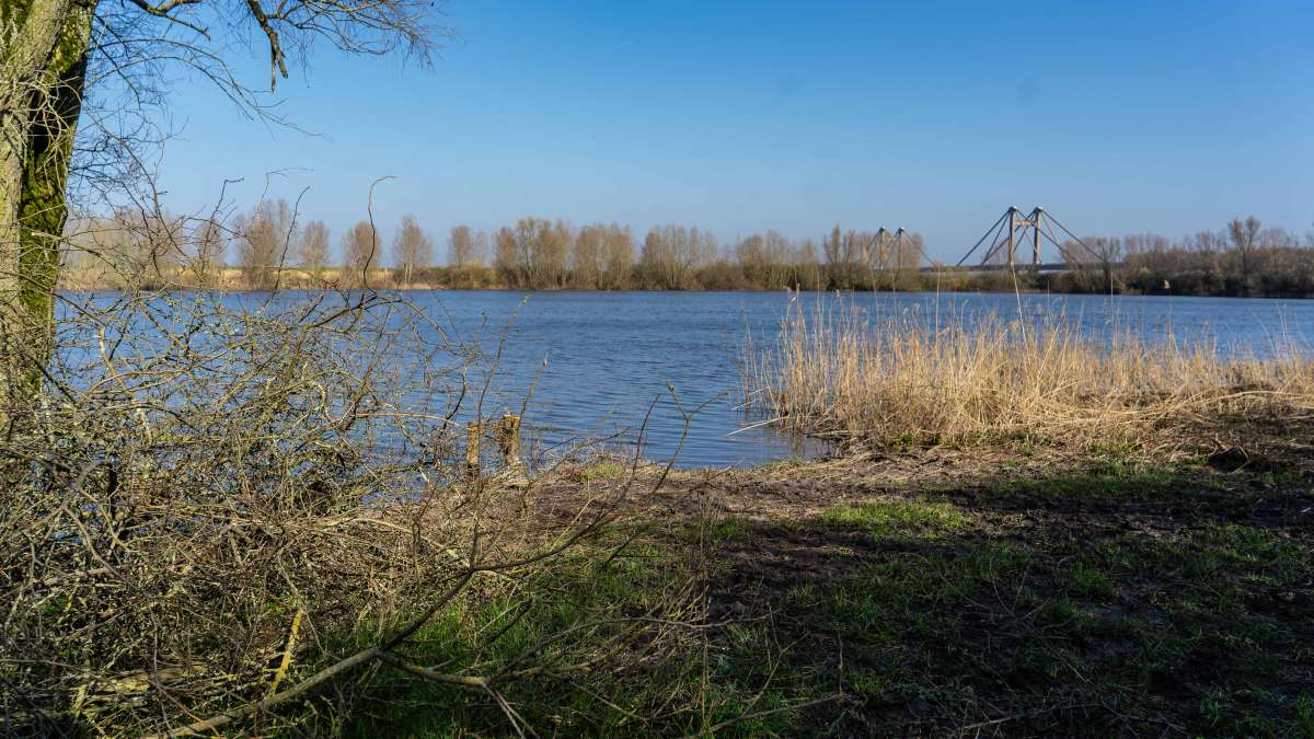 Karperdroom Extreme Stek3 1 Karperdroom Extreme Stek3