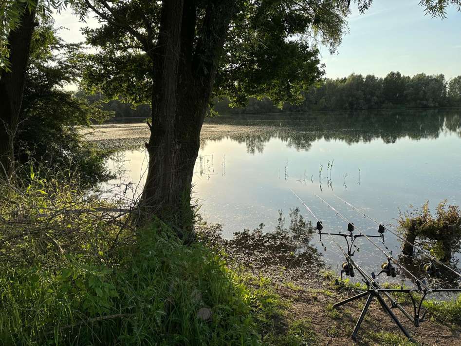 Karperdroom Extreme Visvakantie Nederland 14 Extreme Visvakantie Nederland