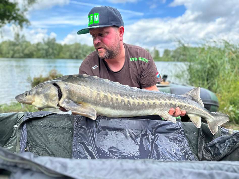 Karperdroom Extreme Visvakantie Nederland 5 Karperdroom Nederland 5