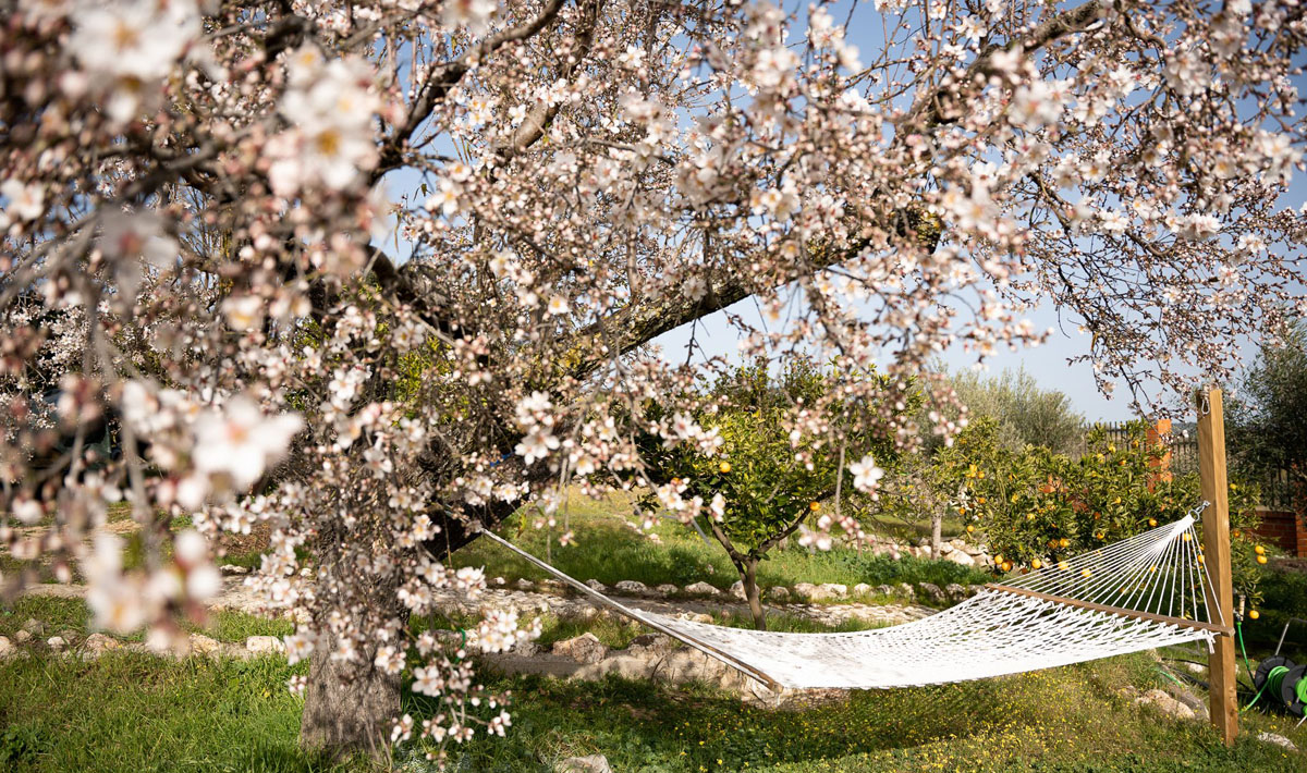 1 Orellana Spain Accommodation Garden Spain Garden Holiday