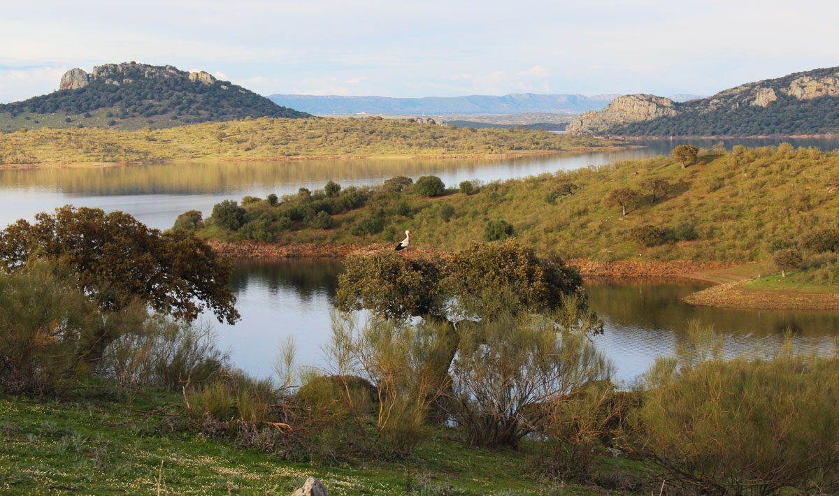 1 Orellana Spain Accommodation Surrounding Orellana Spain Accommodation