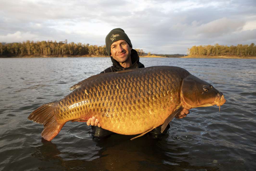 Img 1924 Be Img 1924 Be