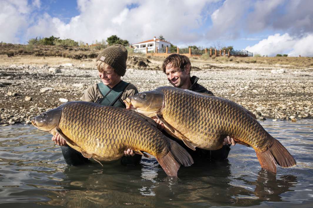 Kopie Von Img 5309 Kopie Von Img