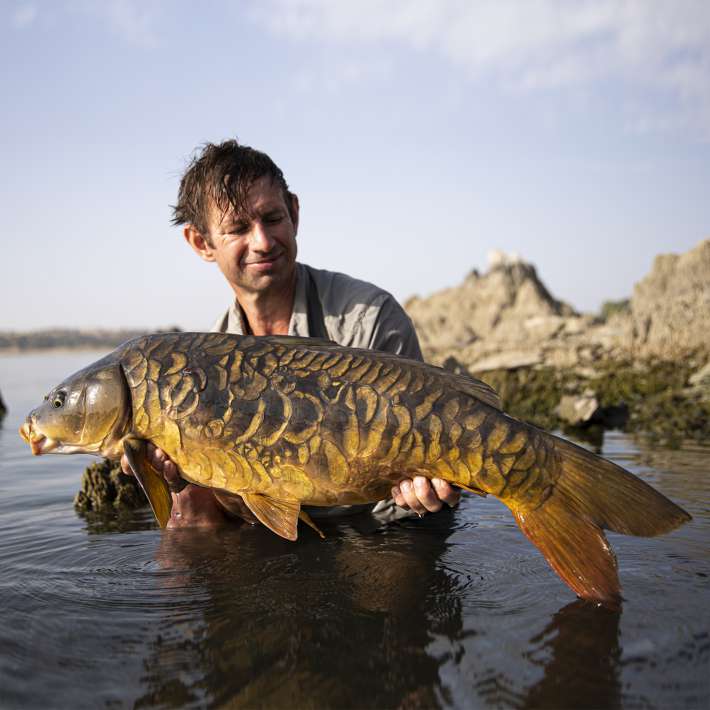 Royal Be Quadrat Klein Be Quadrat Klein