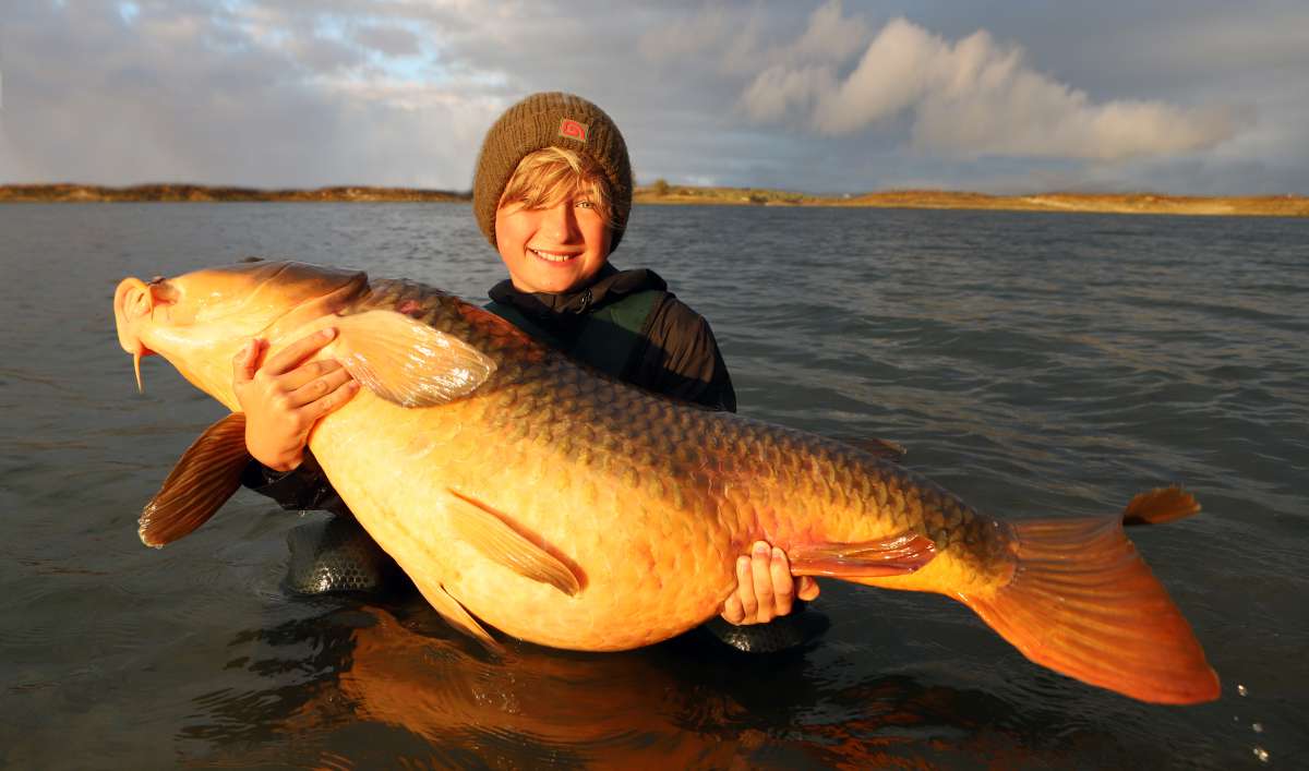 Silas Lechelt Carpa 28kg Silas Carpa 28kg