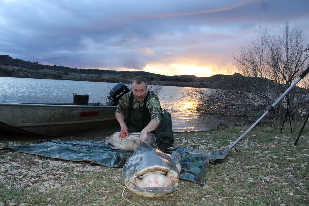 Caspe Fishing Chaos Ebro Spain Fishing Spain Catfish