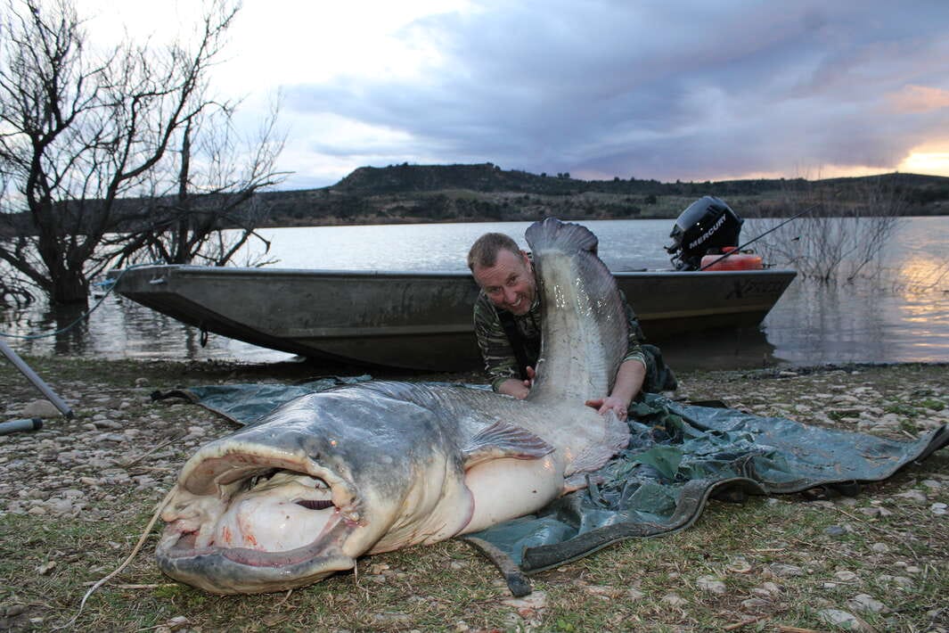 Caspe Fishing Chaos Ebro Spain Caspe Ebro Spain