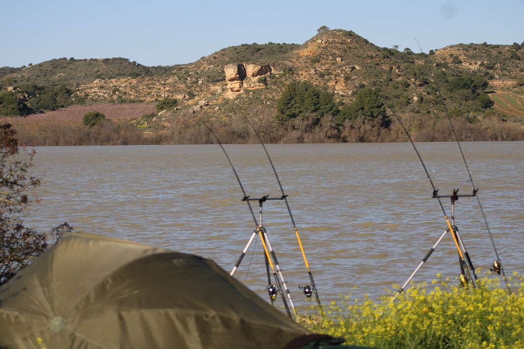 Caspe Fishing Chaos Ebro Spain Chaos Spain Setup